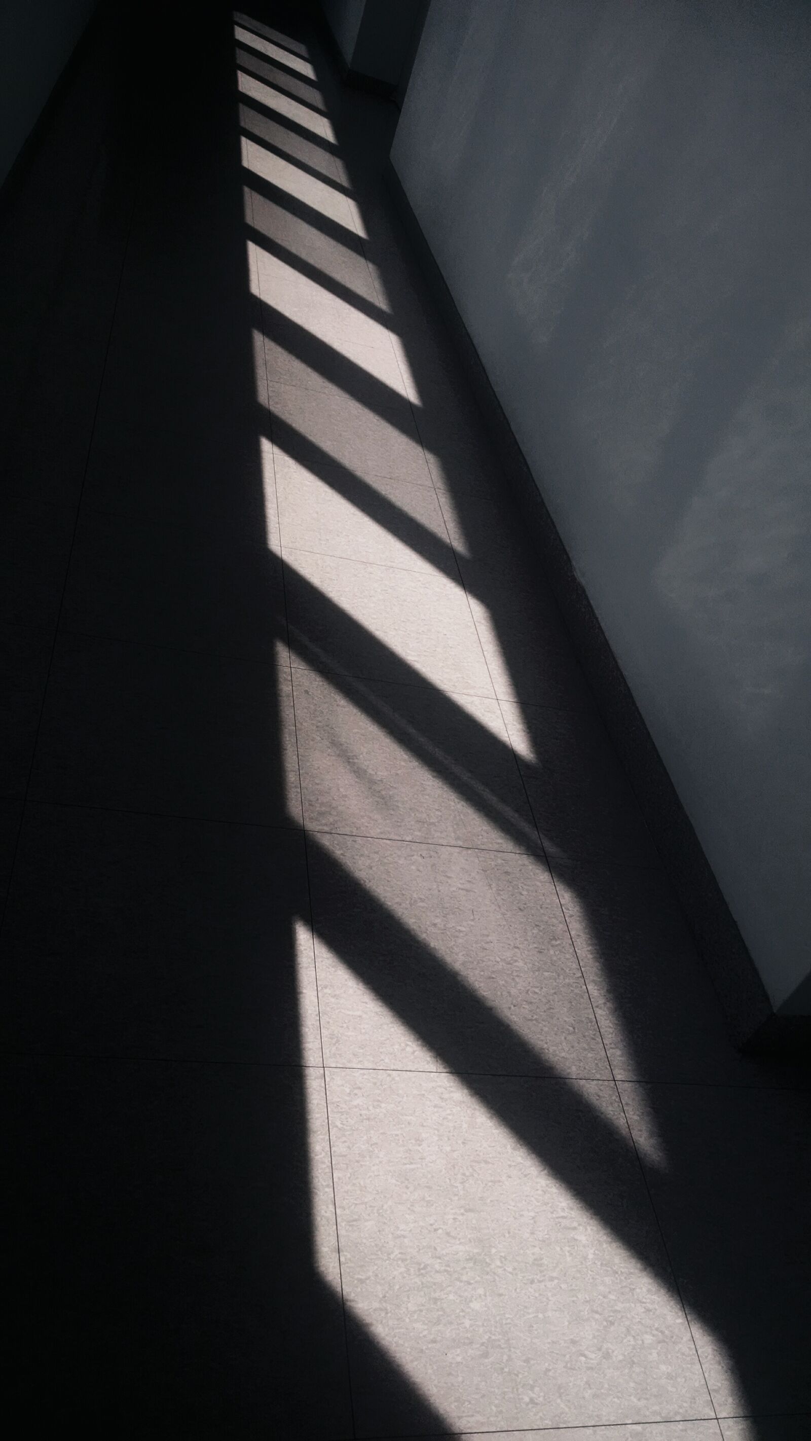 Motorola Moto X (1st Gen) sample photo. Light, minimalist, shadow, silhouette photography
