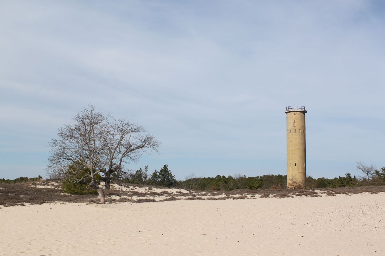 Canon EOS 500D (EOS Rebel T1i / EOS Kiss X3) sample photo. Cape, henlopen, delaware, lewes photography