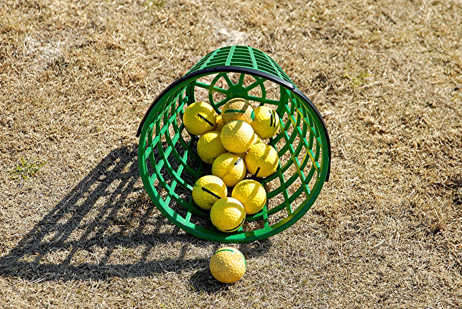 Nikon D200 sample photo. Basket, golf balls, golf photography