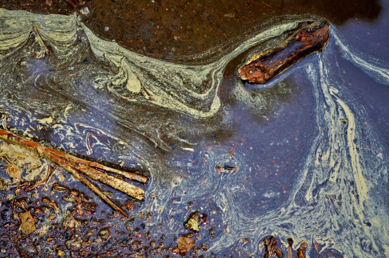 Nikon D7000 sample photo. Water, rain, reflection photography