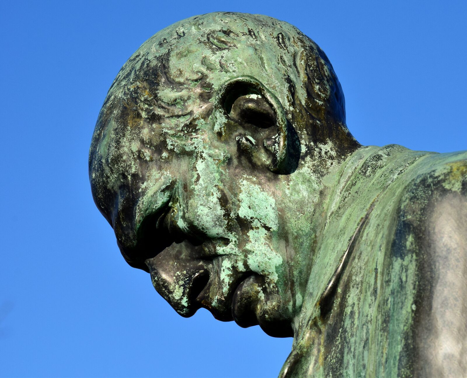 Nikon D3300 sample photo. Head, profile, bent photography