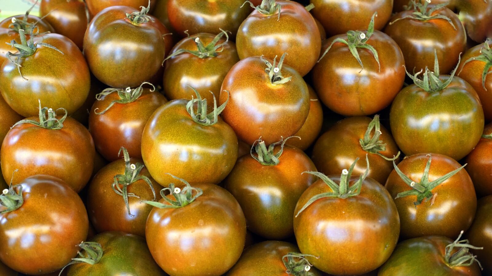 Sony Alpha a5000 (ILCE 5000) sample photo. Tomatoes, vegetables, fresh photography
