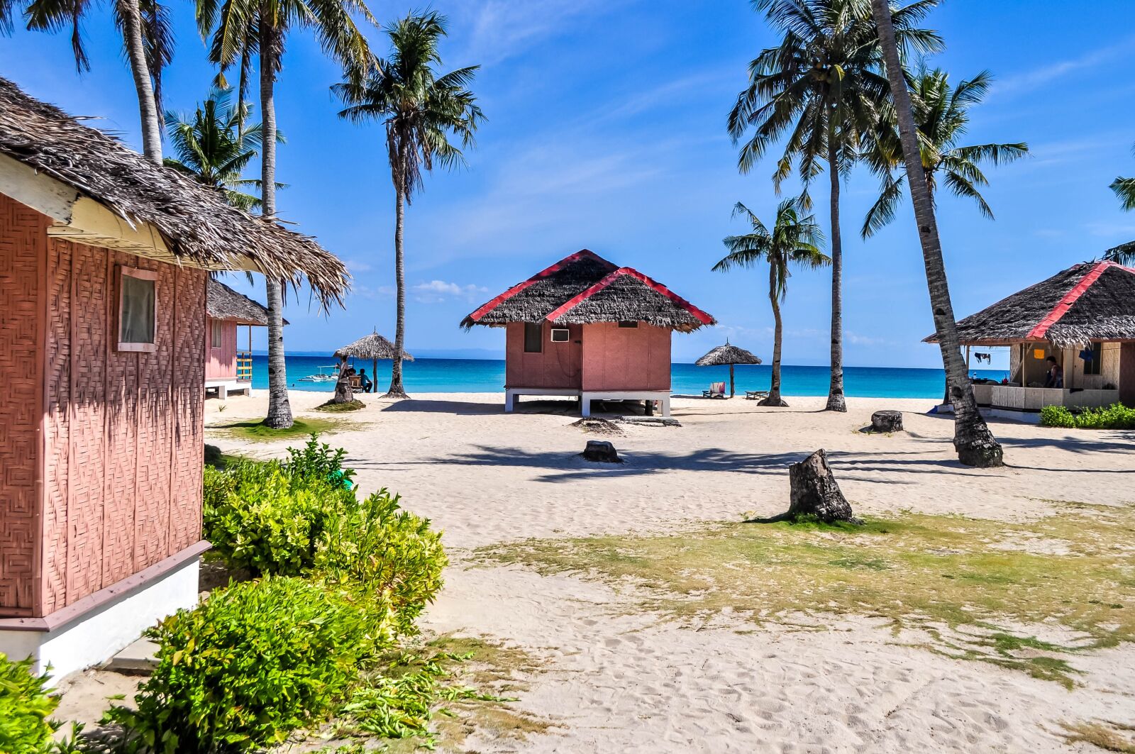 Nikon D5000 sample photo. Palm, bungalow, hut photography