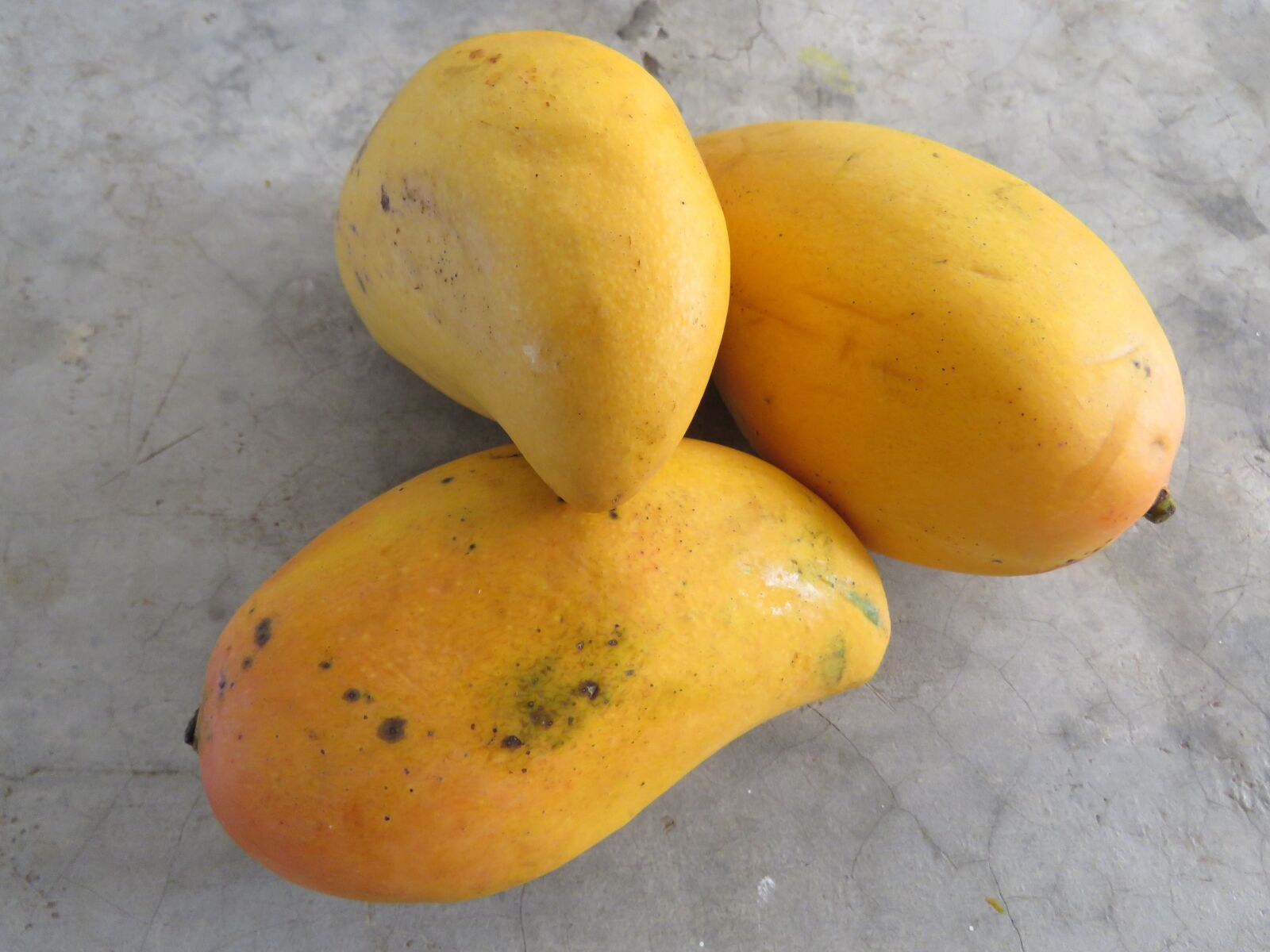 Canon PowerShot SX60 HS sample photo. Mango, fruit, tropical fruit photography
