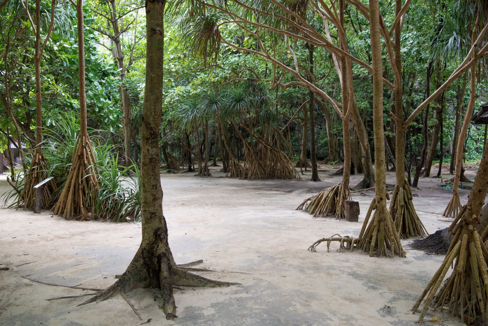 Nikon D750 sample photo. Phi phi islands, phi photography