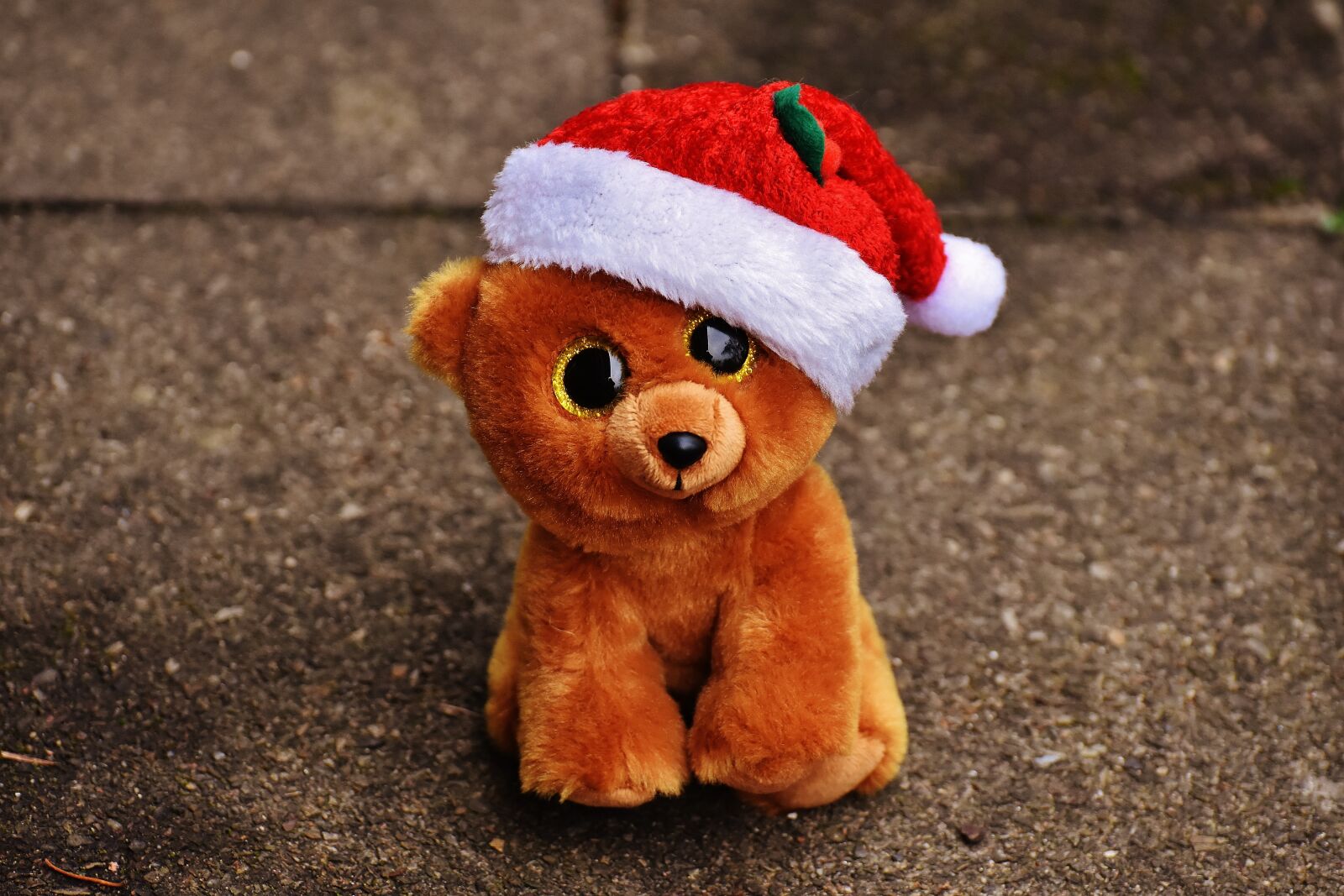 Nikon D7200 sample photo. Christmas, teddy, bear photography