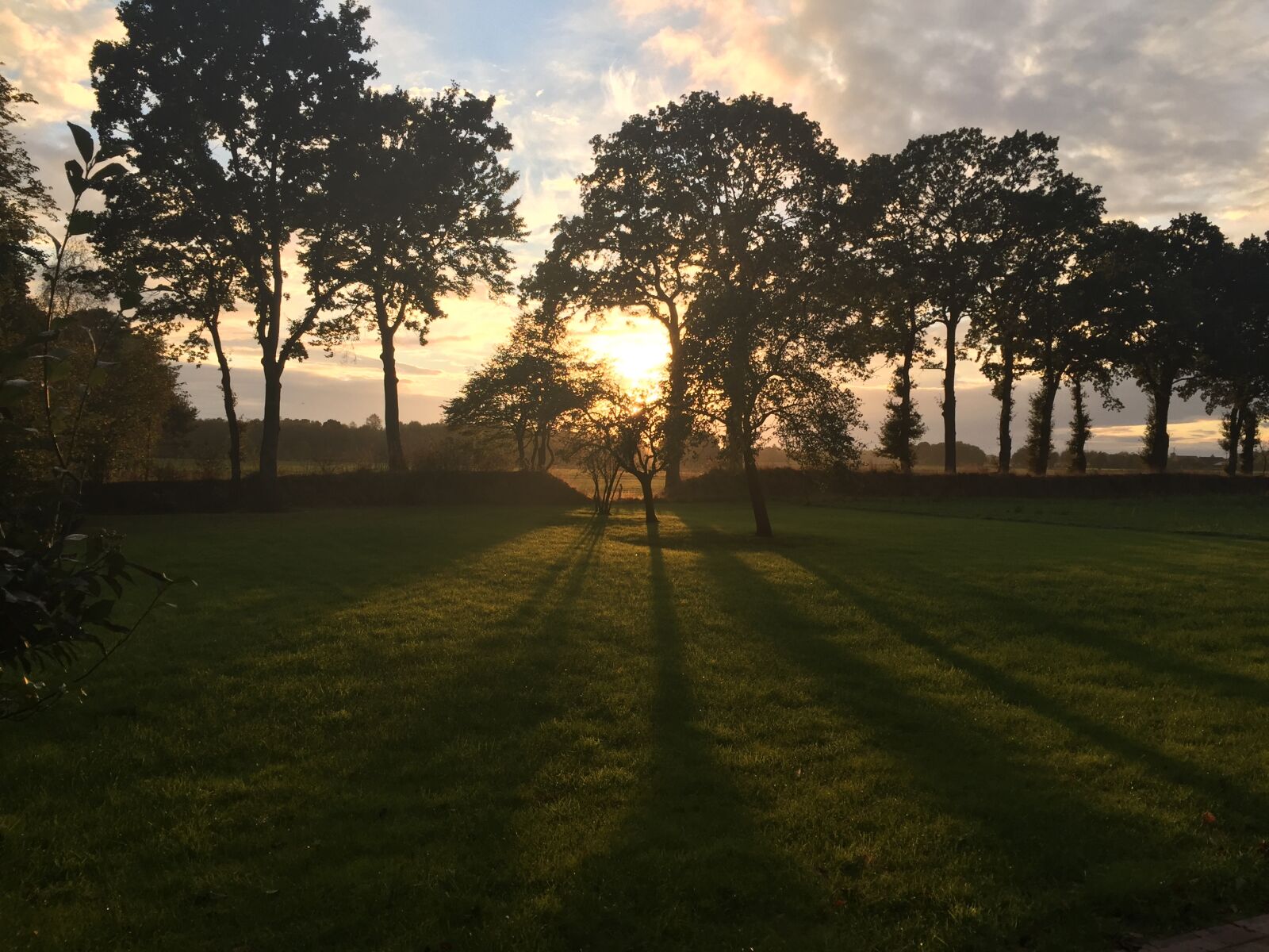 Apple iPhone 6 sample photo. Wiefelstede, sunset, garden photography