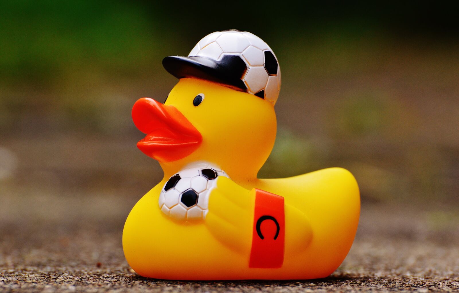 Nikon D3200 sample photo. Rubber duck, football, euro 2016 photography