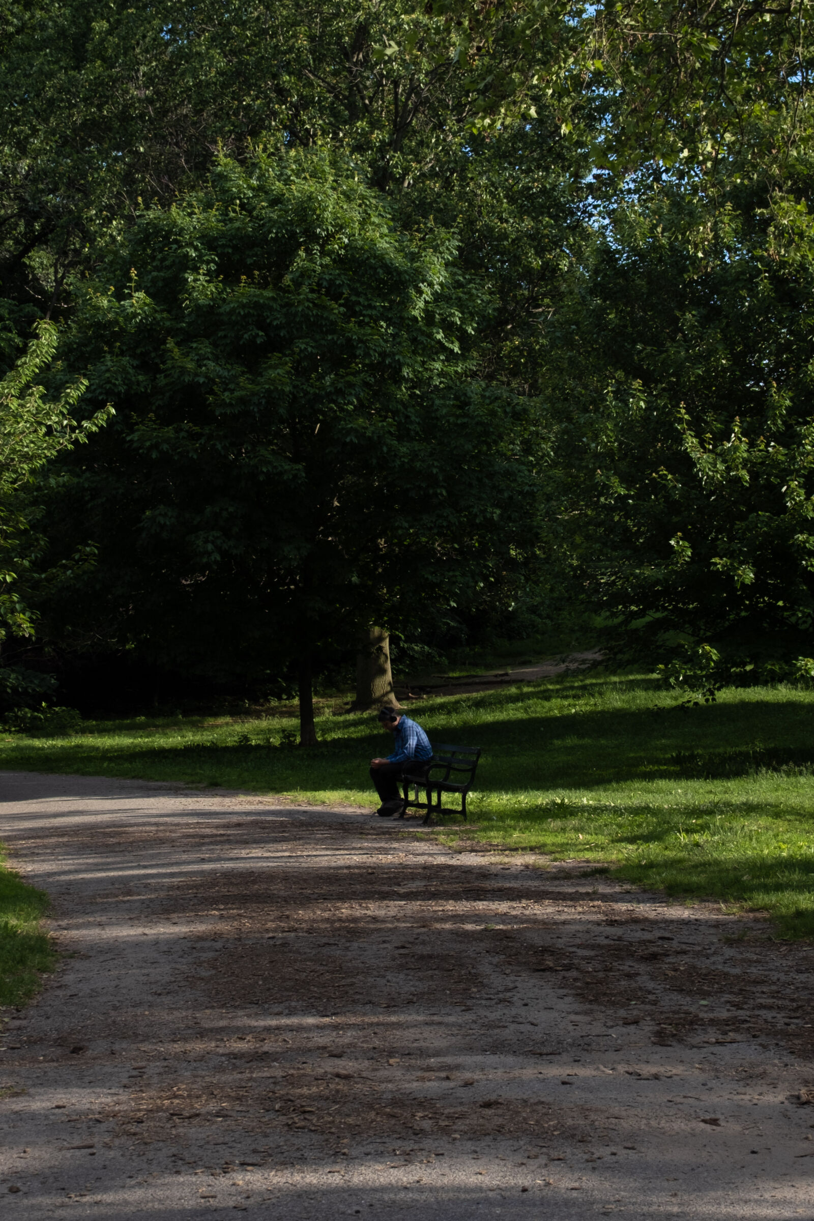 Fujifilm X-T30 III sample photo