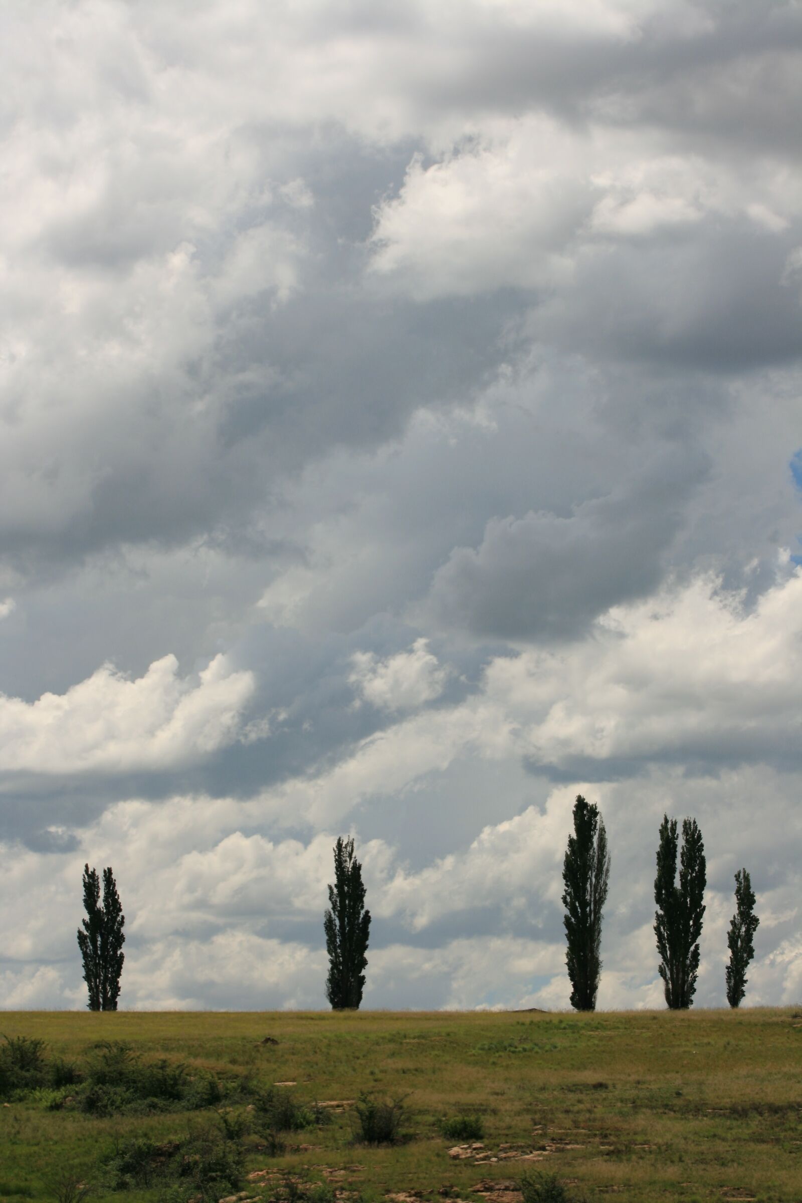 Canon EOS 400D (EOS Digital Rebel XTi / EOS Kiss Digital X) sample photo. Poplars, clouds, landscape photography