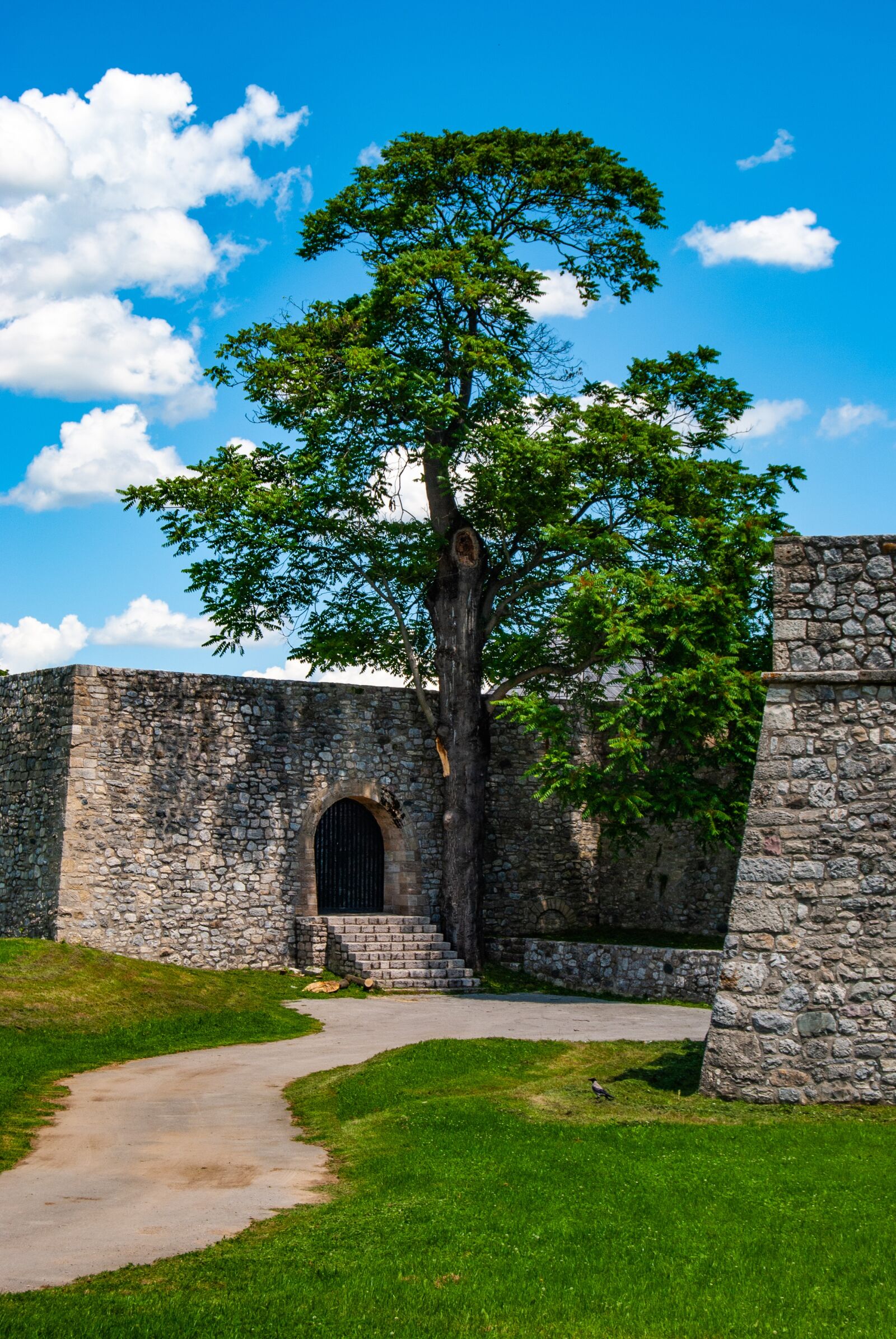 Nikon D60 sample photo. Kastel fortress, fortress, medieval photography
