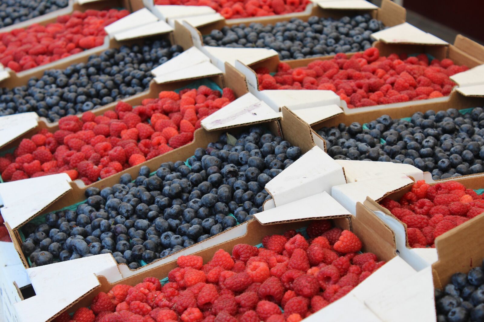Canon EOS 600D (Rebel EOS T3i / EOS Kiss X5) sample photo. Raspberries, blueberries, berries photography