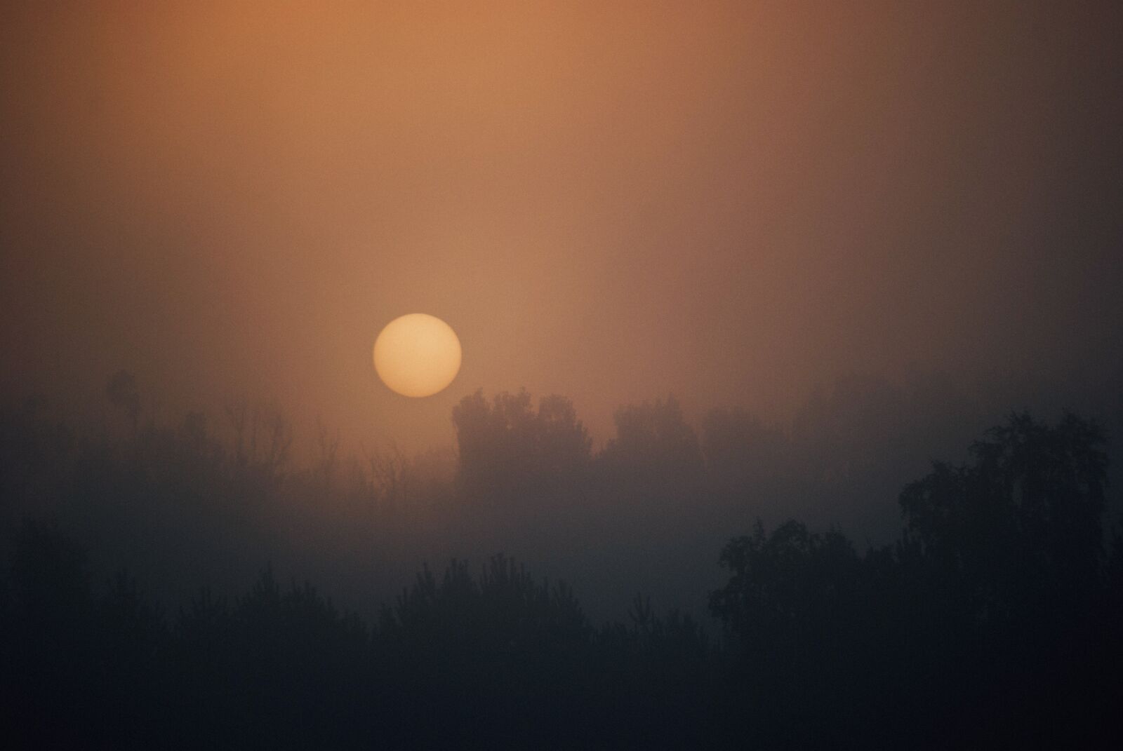 Nikon D60 sample photo. Sunrise, morning, dawn photography