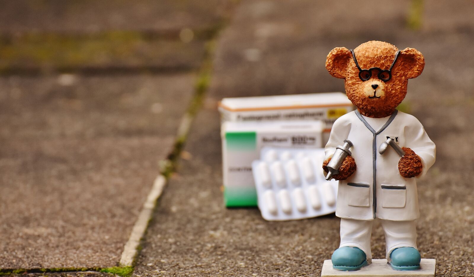 Nikon D7200 sample photo. Bear, profession, doctor photography
