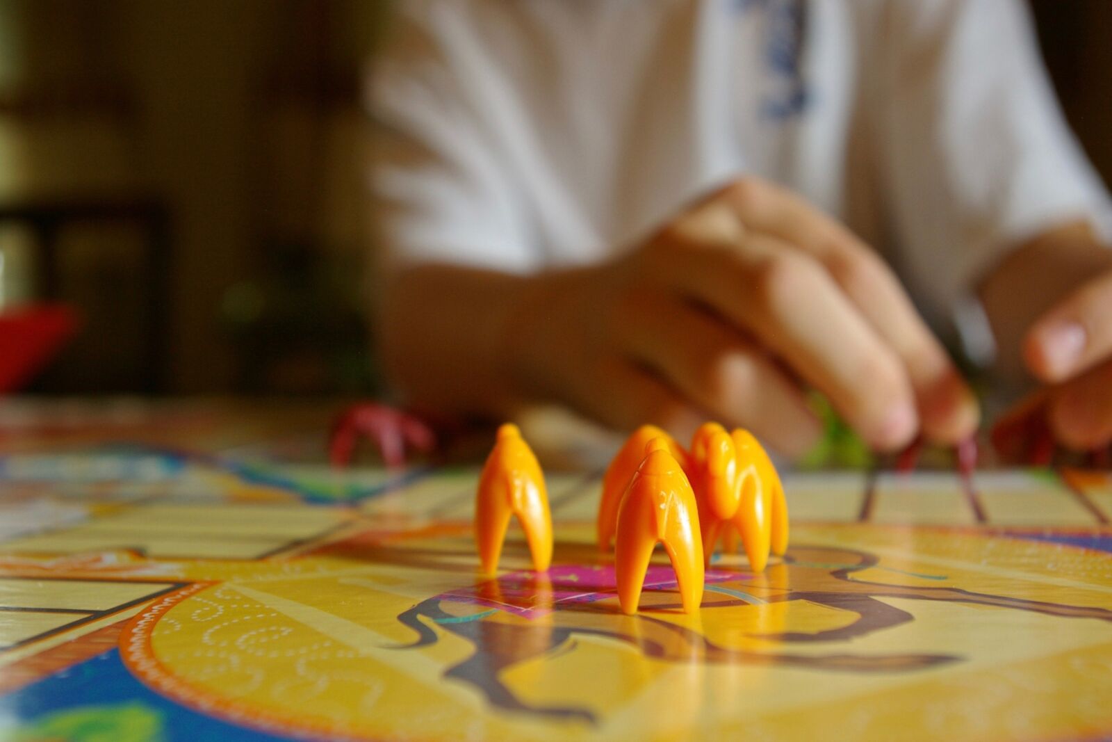 Pentax K100D sample photo. Parcheesi, camels, board game photography