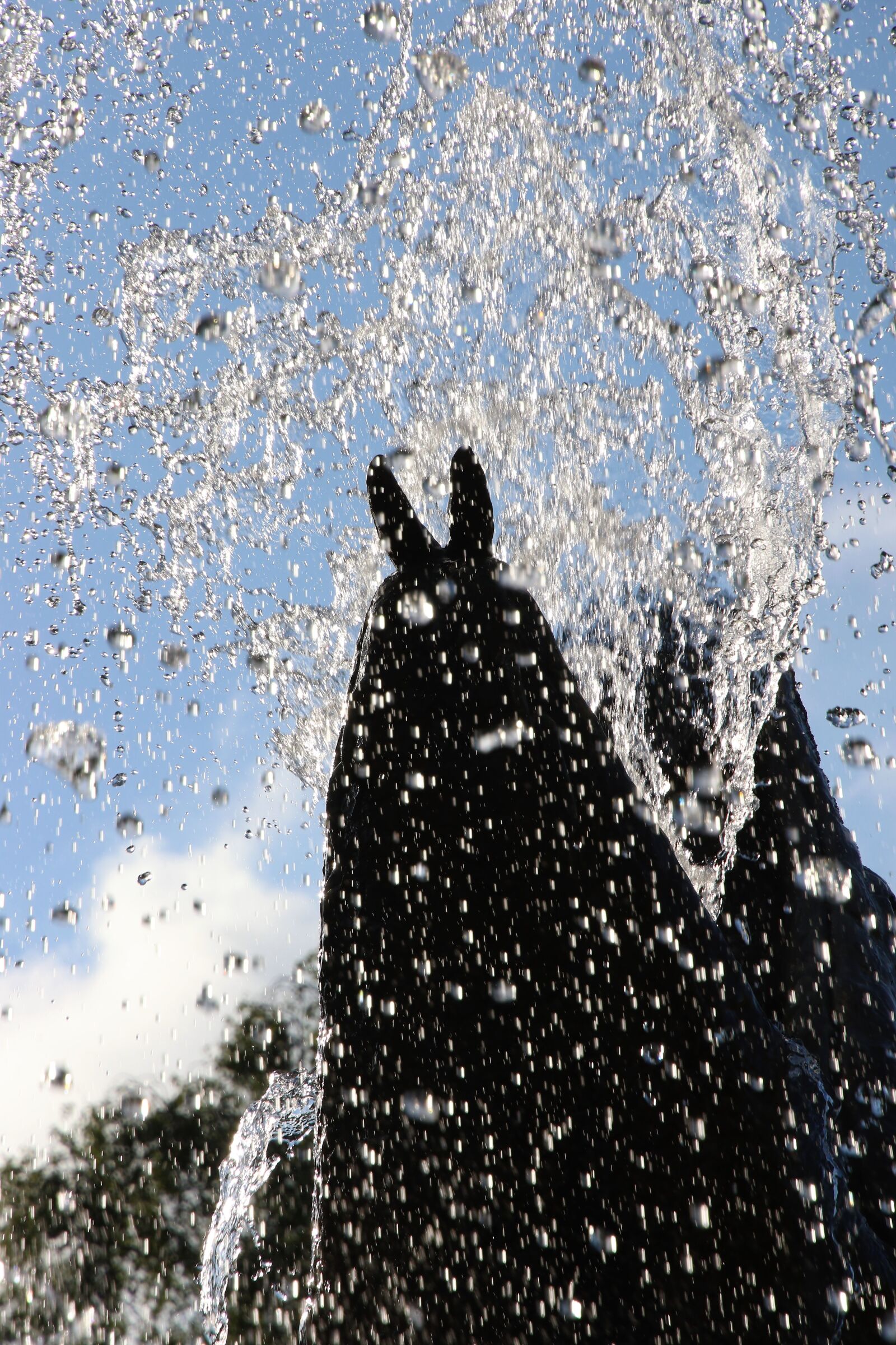 Canon EOS 7D Mark II sample photo. Drops, fountain, snake, statue photography