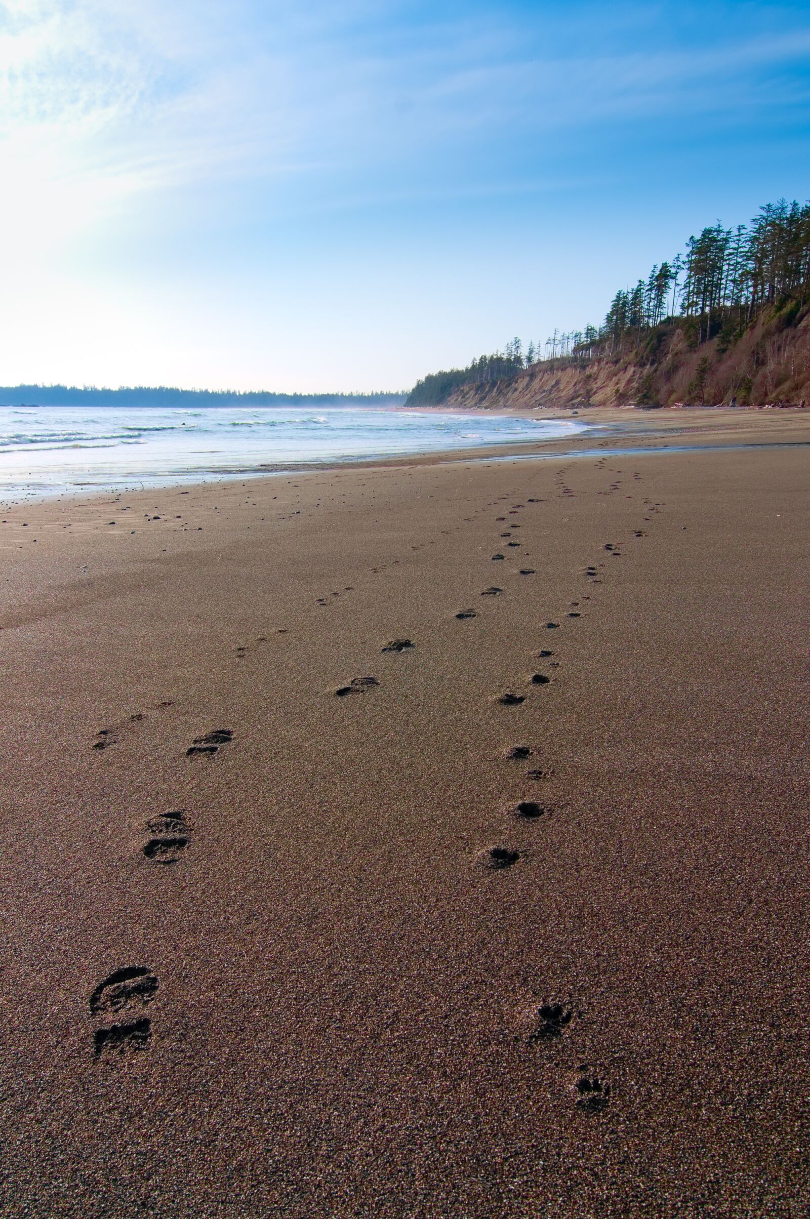 Nikon D5000 sample photo. Beach, landscape, nature photography