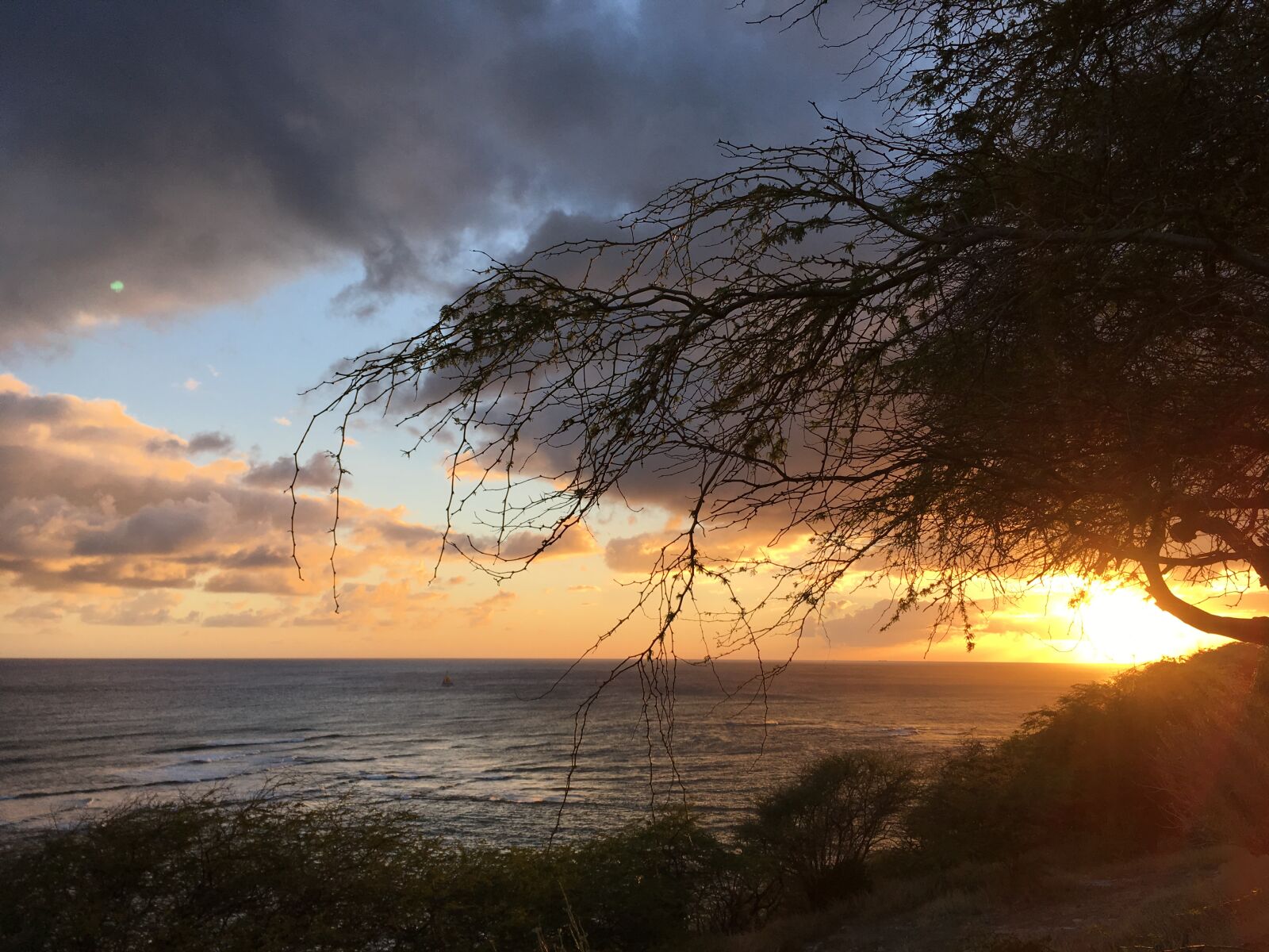 Apple iPhone SE sample photo. Hawaii, sea, sunset, tree photography