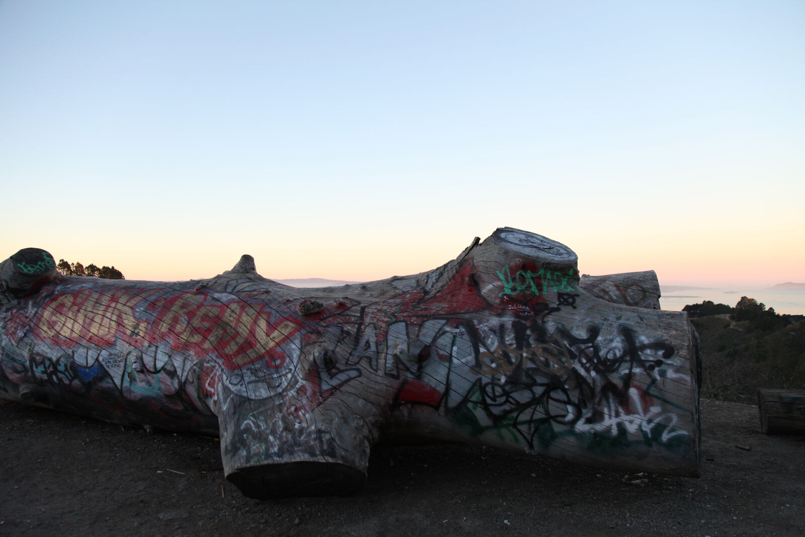 Canon EF 24-105mm F4L IS USM sample photo. Graffiti, tree photography