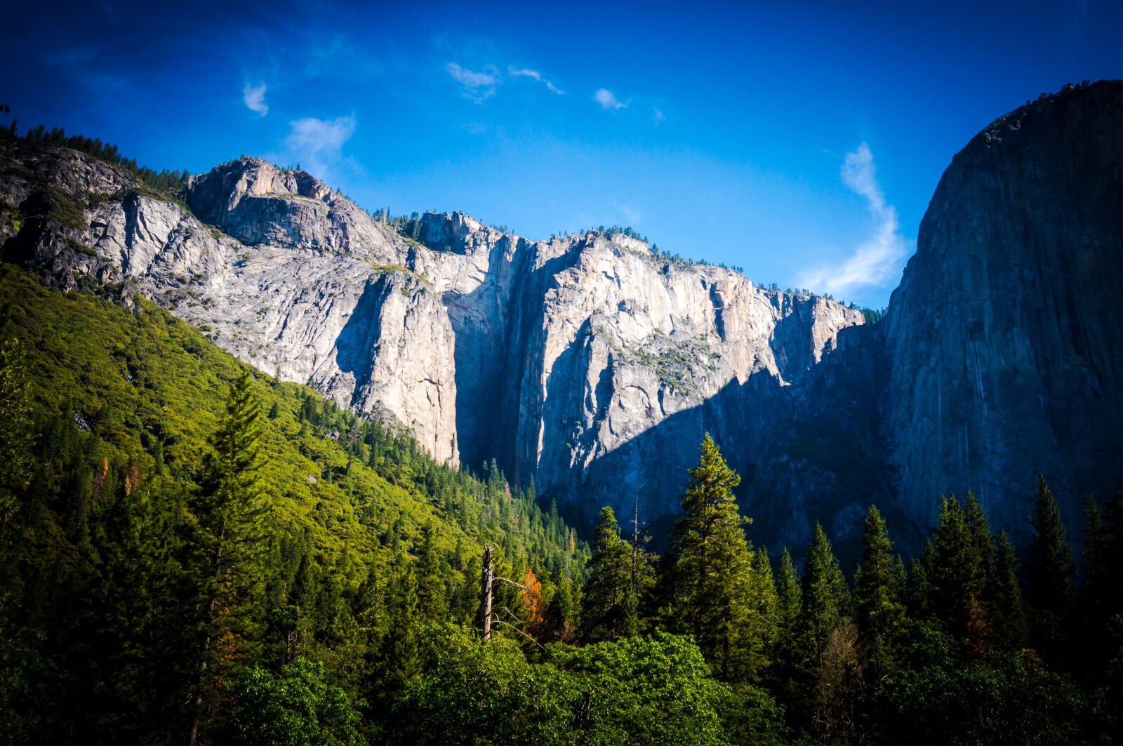 Sony Alpha NEX-3N sample photo. Cliffs, forrest, green, yosemite photography