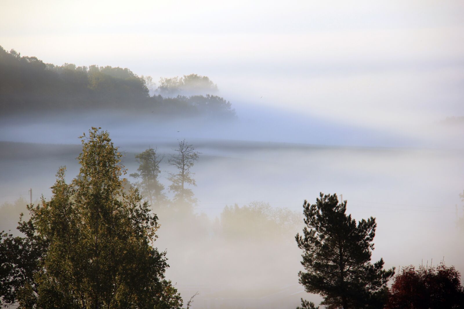 Canon EOS 60D sample photo. Fog, mist, autumn photography