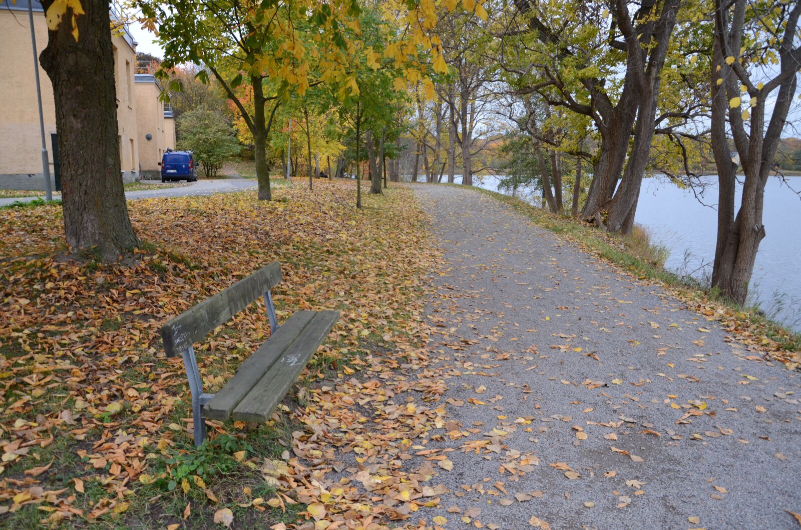 Nikon D7000 sample photo. Autumn, lake, stockholm photography