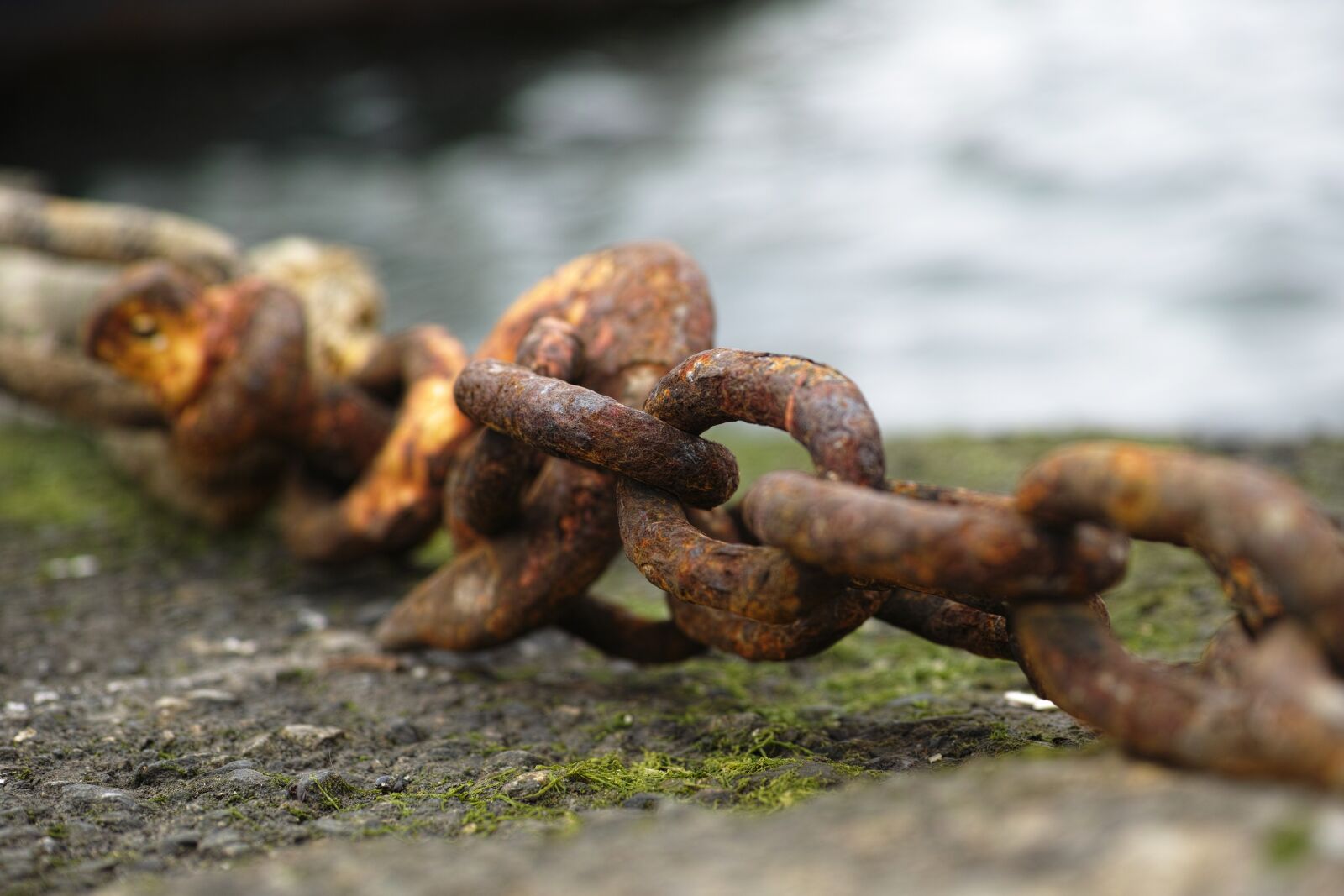 Sigma DP3 Merrill sample photo. Chain, rusty, old photography