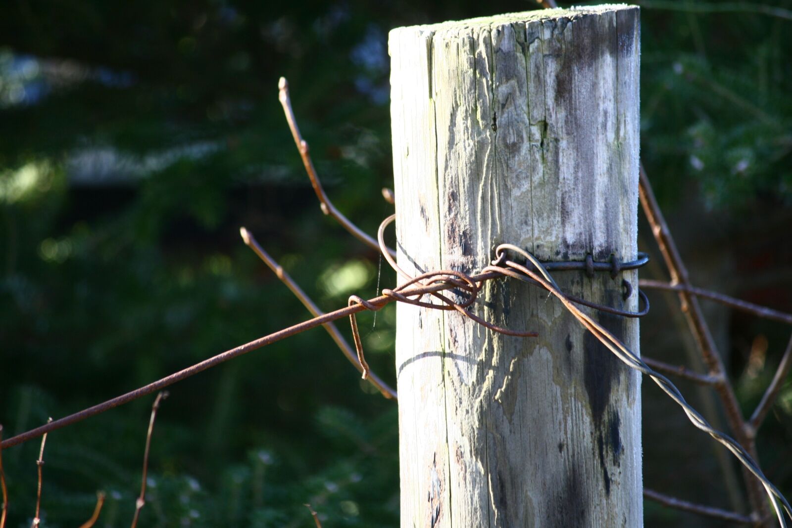 Canon EOS 400D (EOS Digital Rebel XTi / EOS Kiss Digital X) sample photo. Pole, wood, wire photography