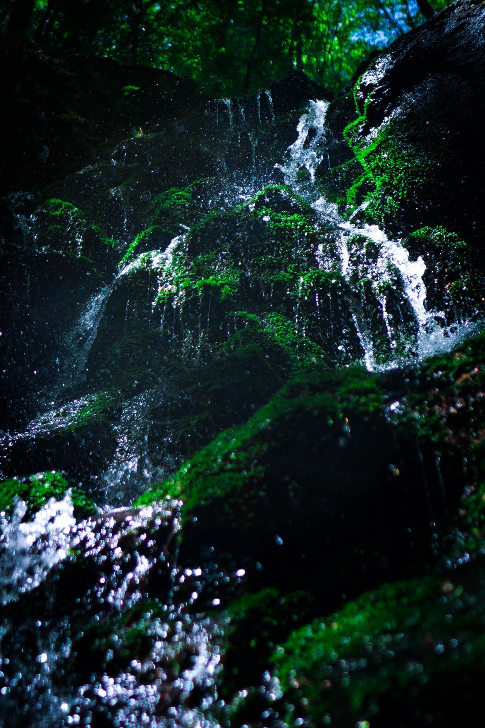 Sony a6400 + Sigma 16mm F1.4 DC DN | C sample photo. Waterfall, forest, river photography