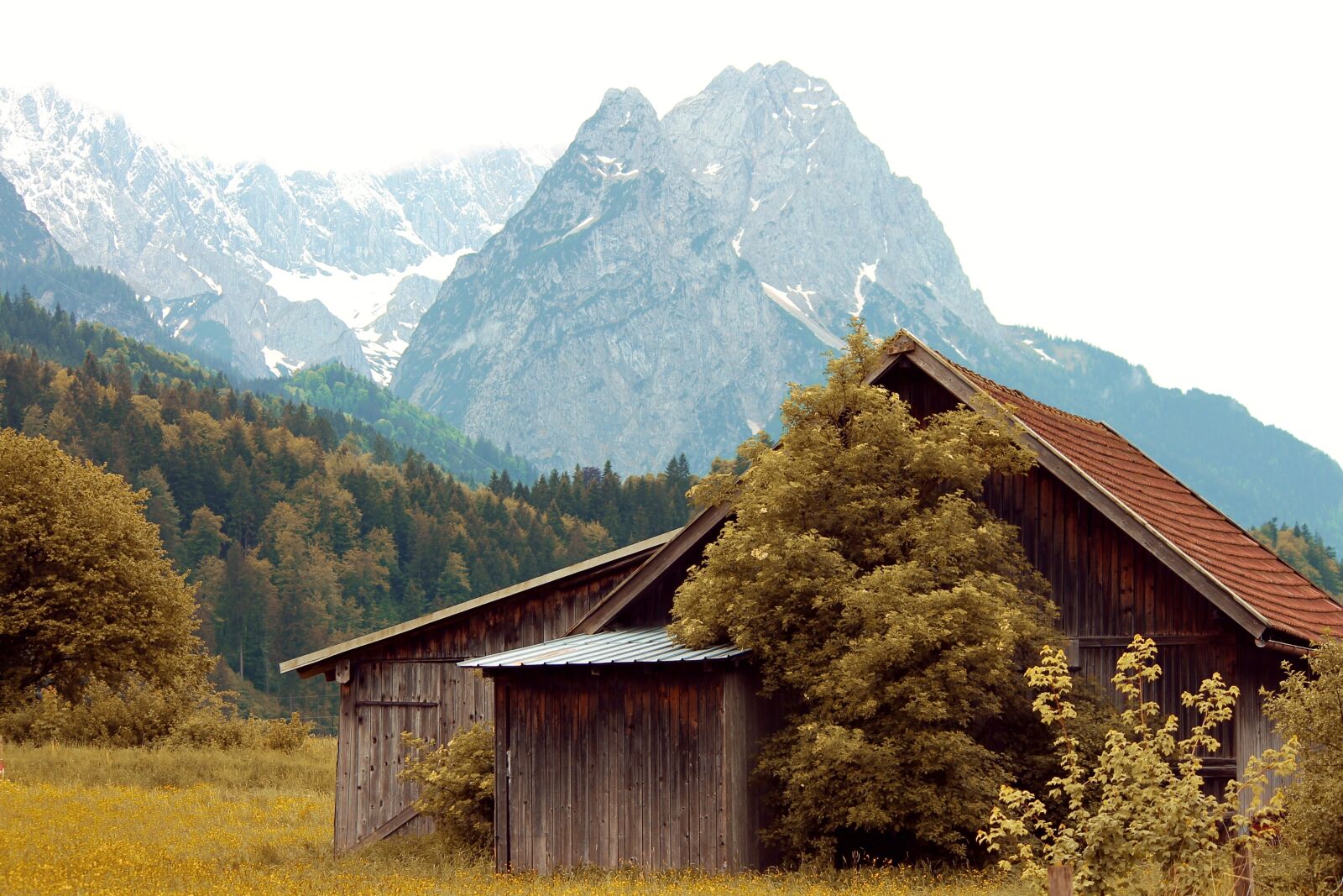 Canon EOS 1100D (EOS Rebel T3 / EOS Kiss X50) sample photo. Hut, log cabin, food photography