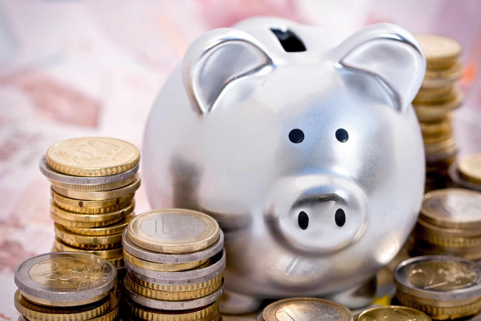 Canon EOS 20D sample photo. Piggy bank, pig, currency photography