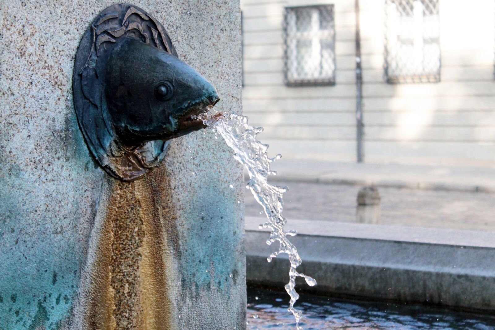 Canon EOS 1300D (EOS Rebel T6 / EOS Kiss X80) sample photo. Fountain head, fountain, gargoyle photography