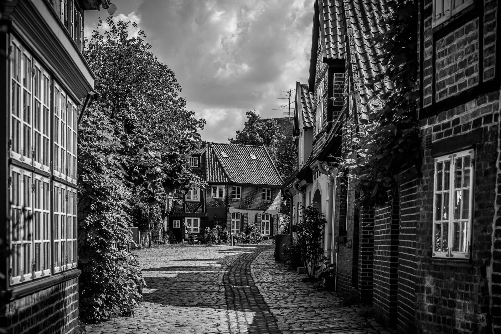 Nikon D750 sample photo. City, l neburg, historic photography