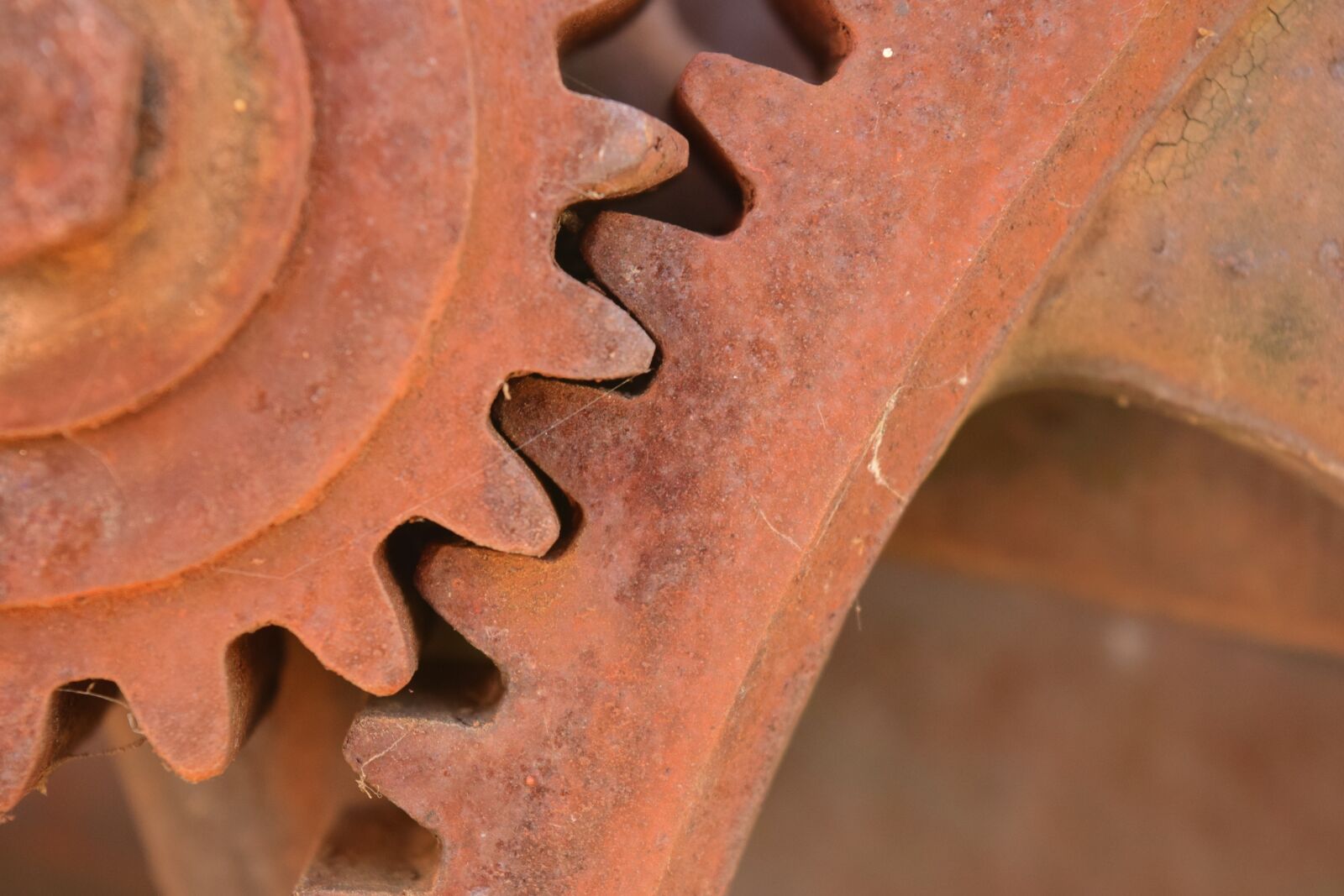 Nikon D3300 sample photo. Gears, metal, rust photography