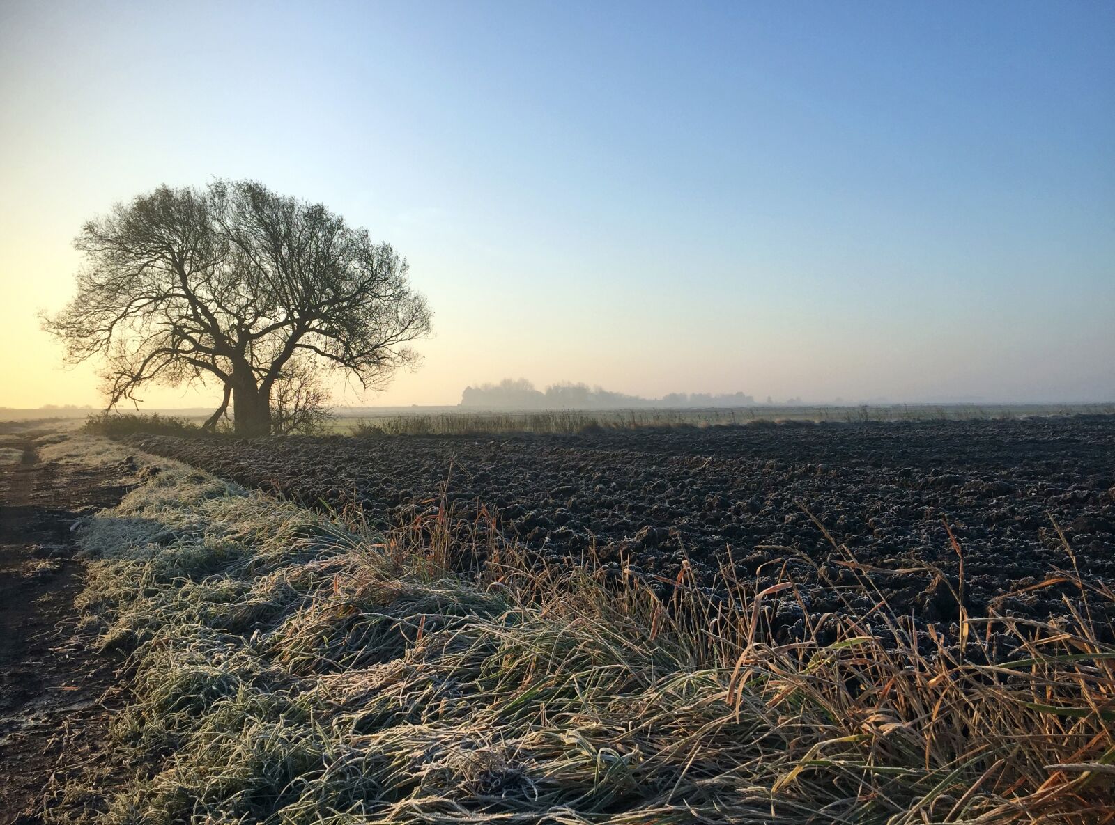 iPhone 6 back camera 4.15mm f/2.2 sample photo. Morning, cold, landscape photography