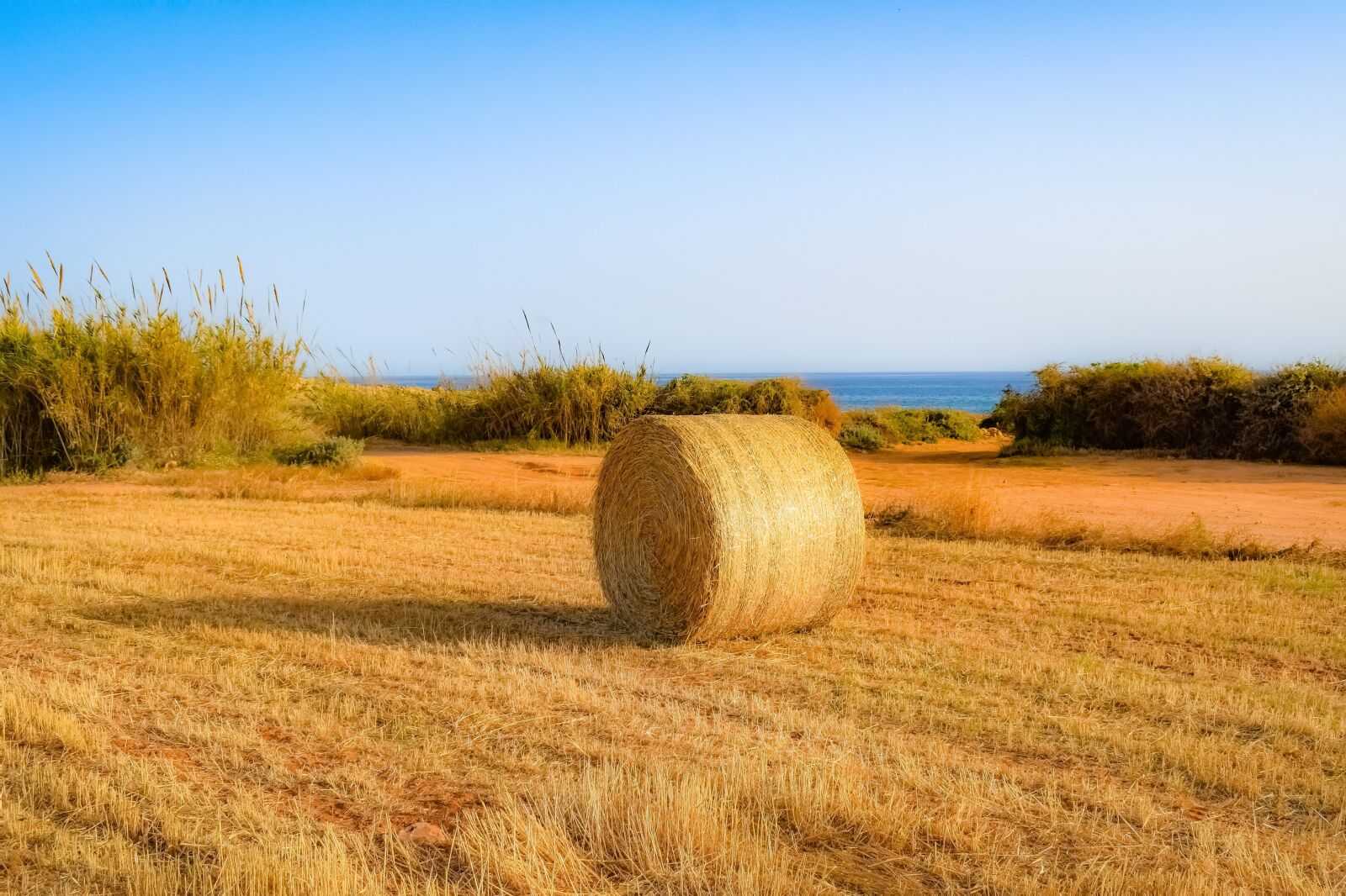 Nikon D3300 sample photo. Agriculture, field, rural photography