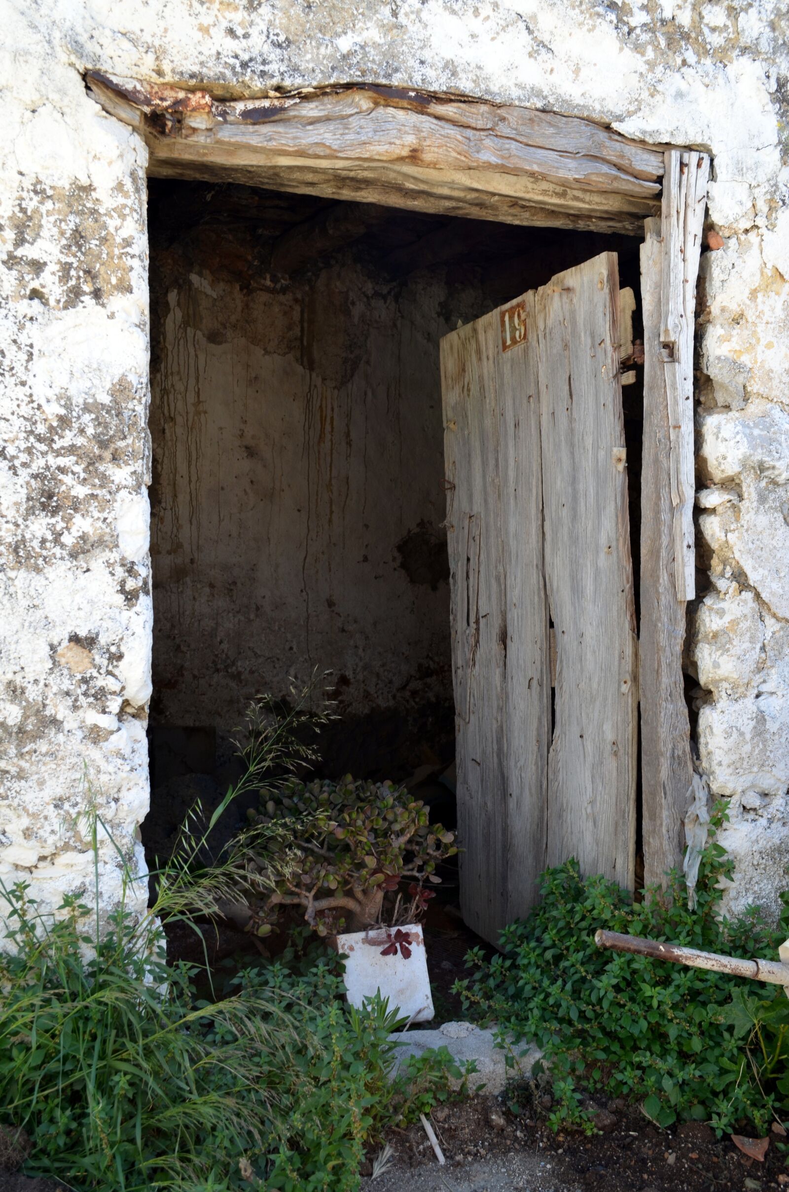 Nikon D5100 sample photo. Door, goal, old door photography