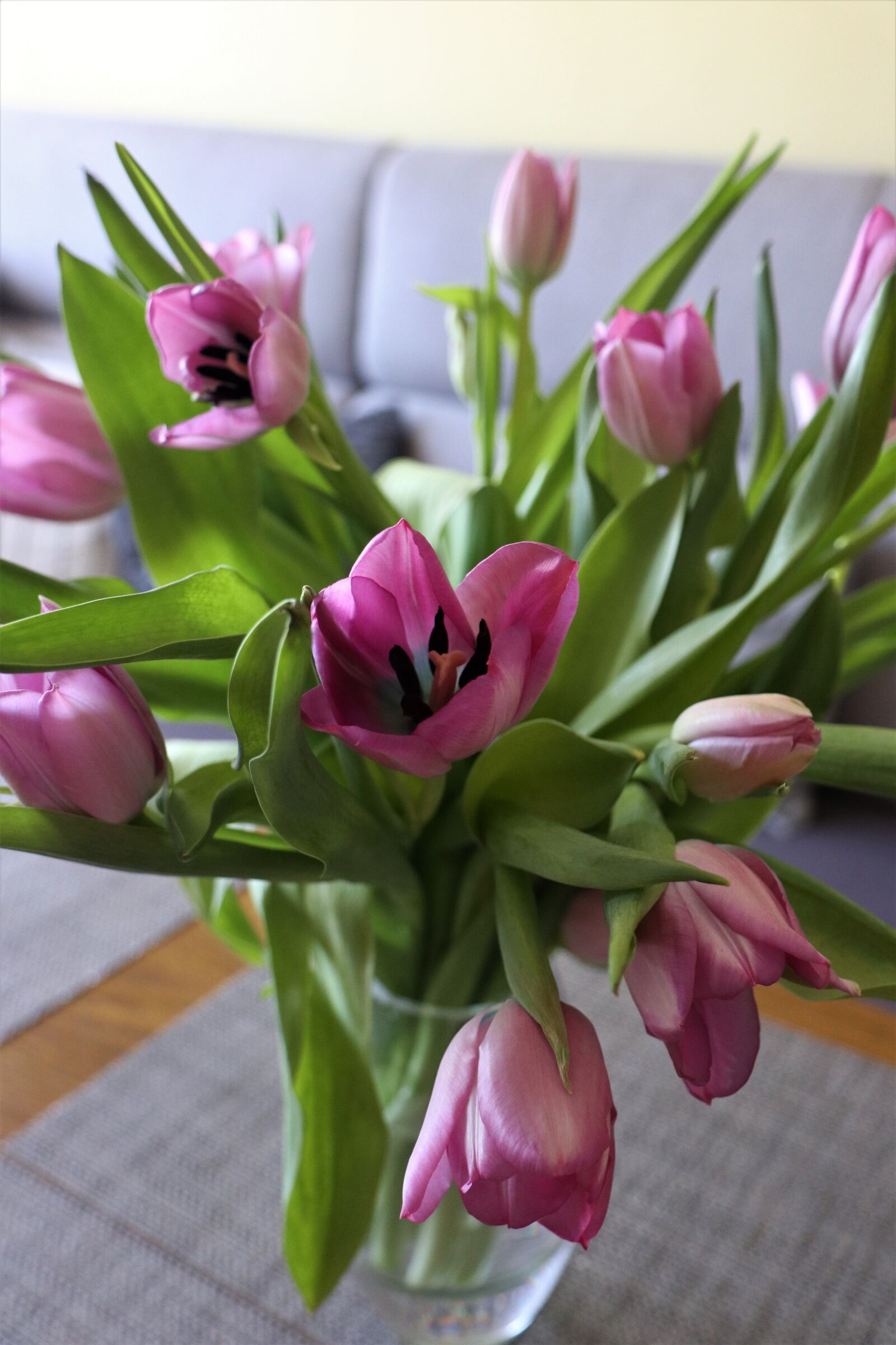 Canon EOS M6 sample photo. Spring bouquet, tulips, flower photography