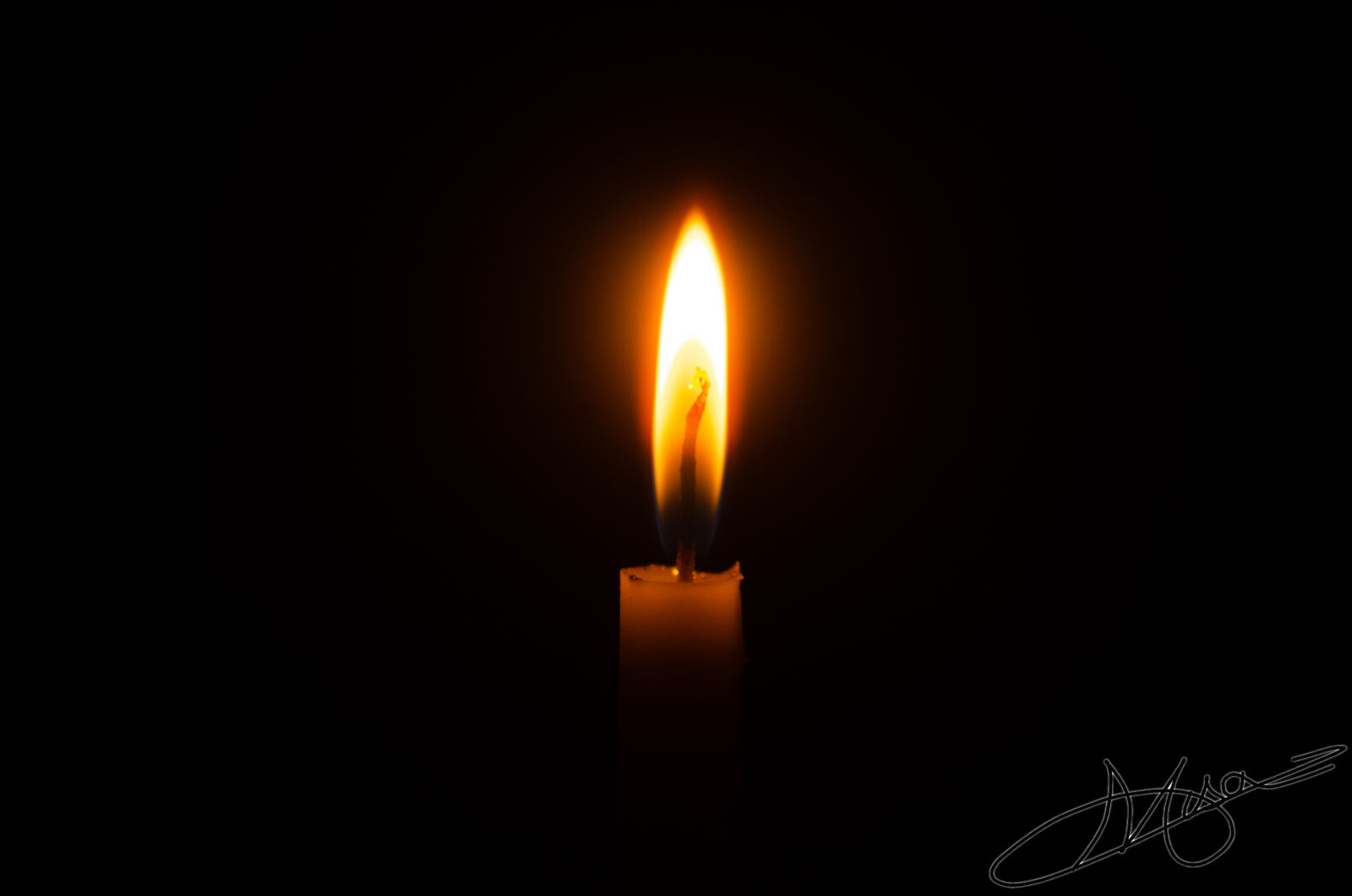 Nikon D5100 sample photo