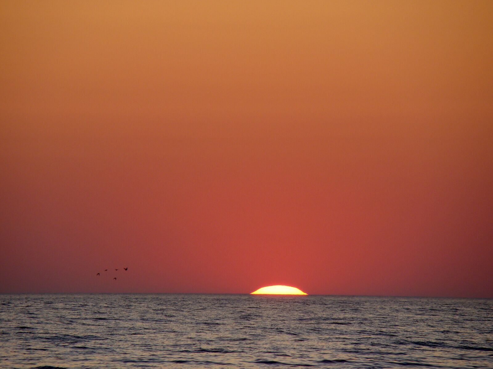 Sony Cyber-shot DSC-H50 sample photo. Sunset, sea, birds photography