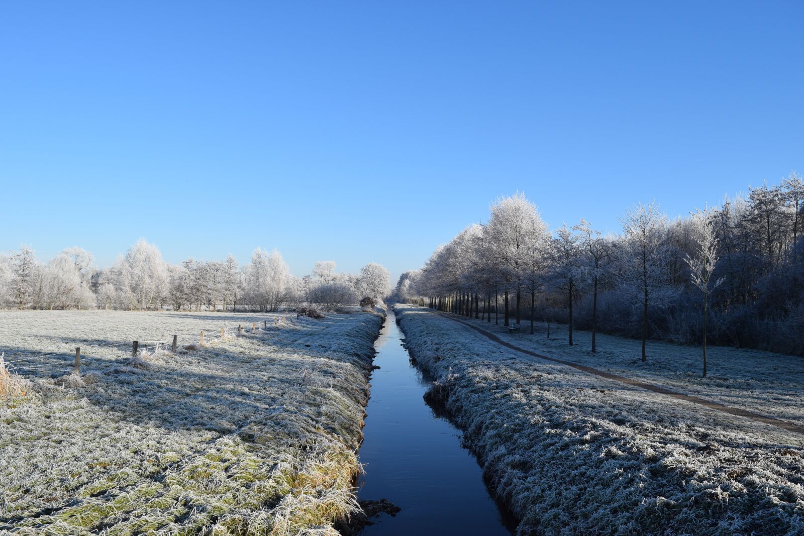 Nikon D3300 sample photo. Delmenhorst, anne dig, winter photography