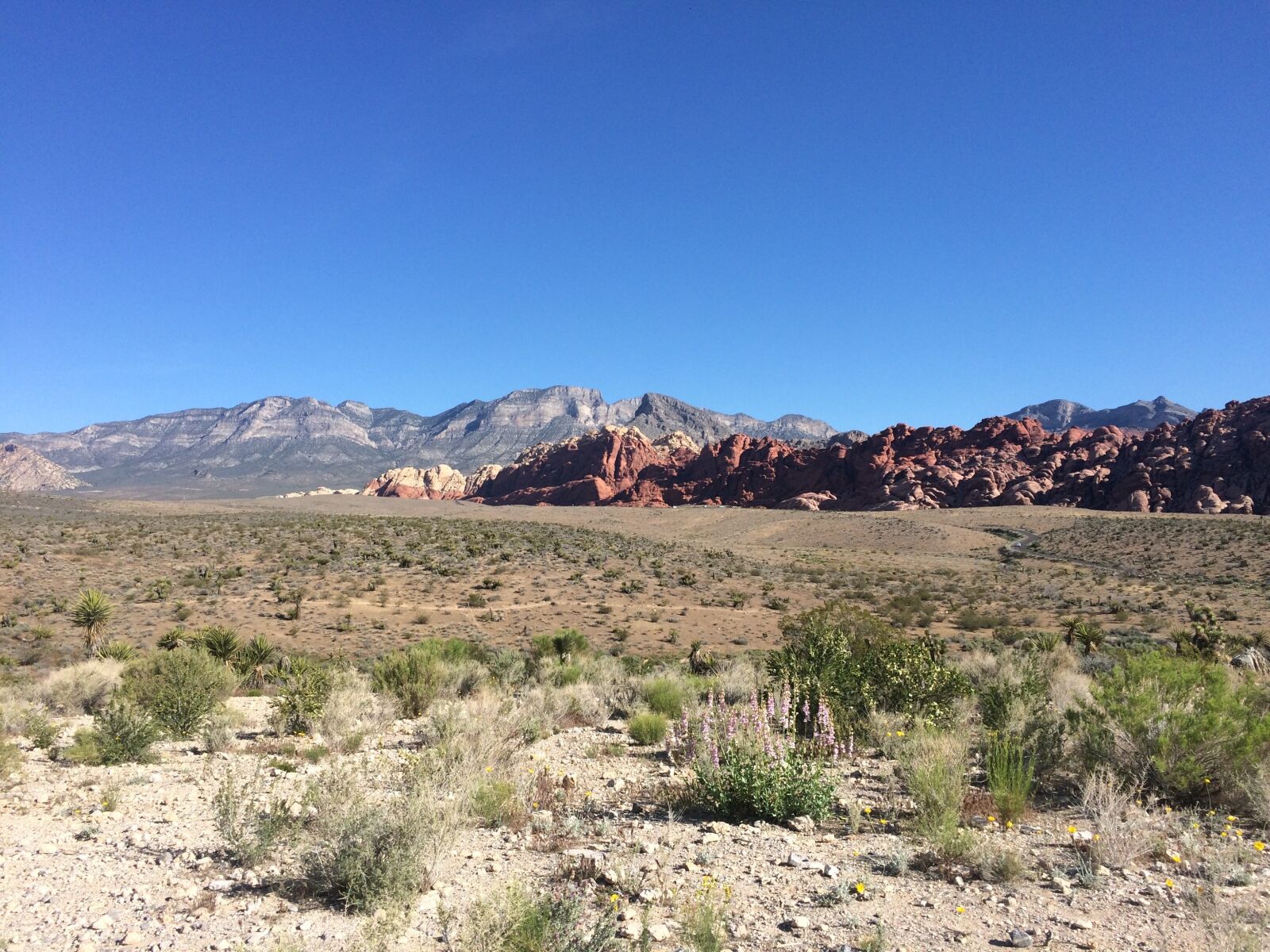iPhone 5s back camera 4.15mm f/2.2 sample photo. Red rock, arid, desert photography