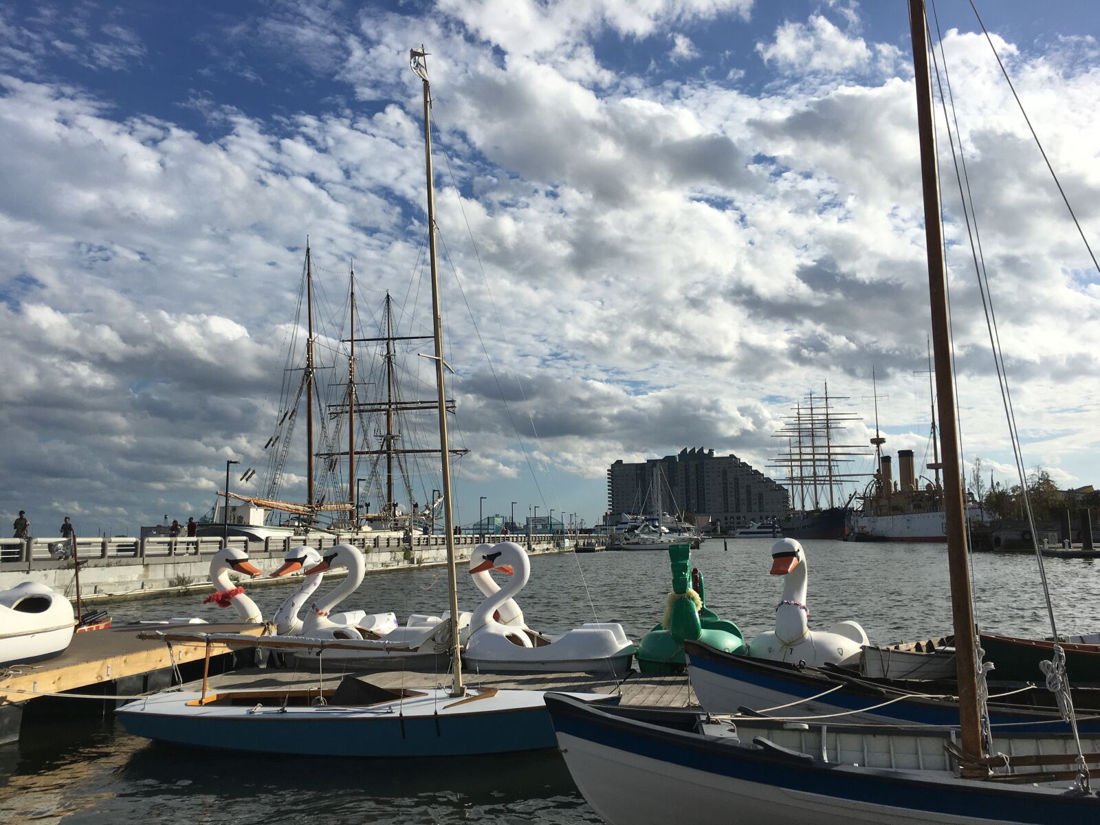 Apple iPhone 6s sample photo. Philadelphia, swans, landscape photography