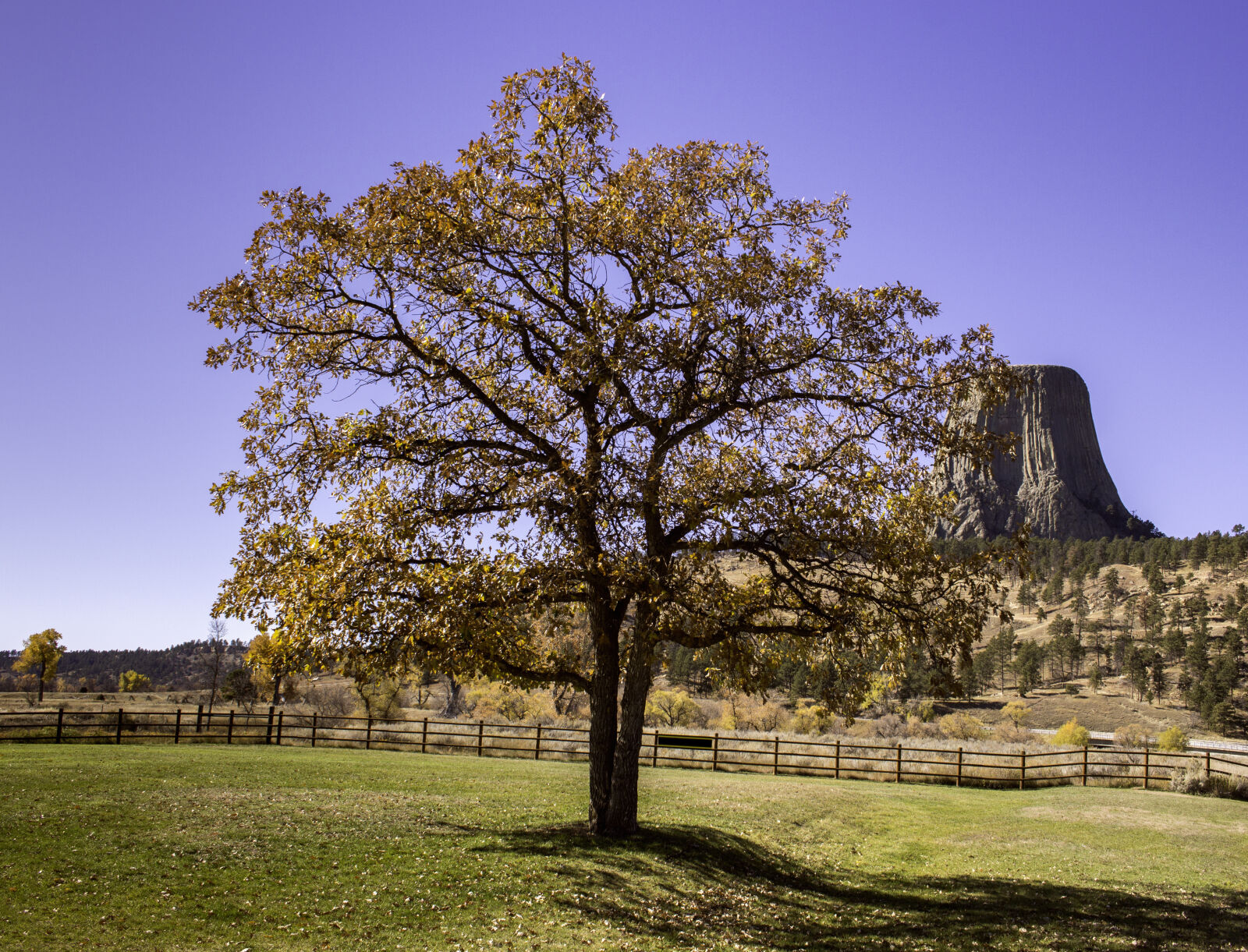 Canon EOS 700D (EOS Rebel T5i / EOS Kiss X7i) sample photo. Autumn, devils, tower, fall photography