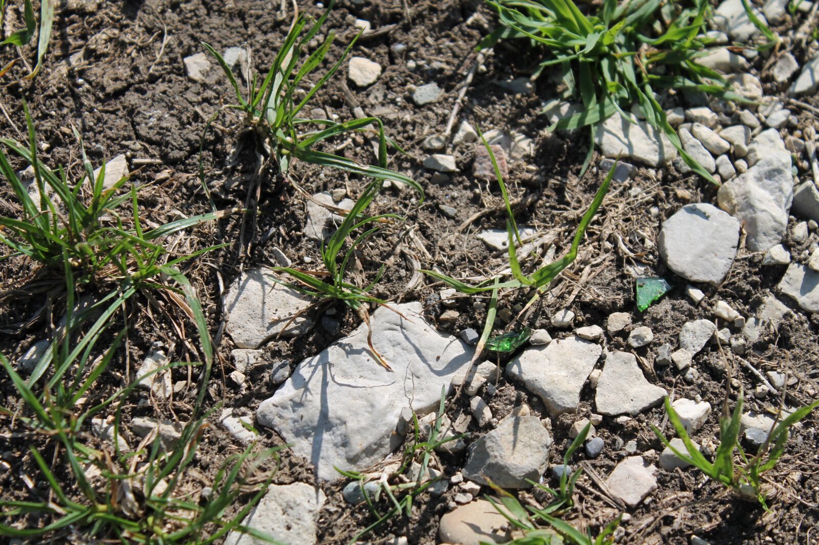 Canon EOS 1100D (EOS Rebel T3 / EOS Kiss X50) sample photo. Floor rugged, rocky bottom photography