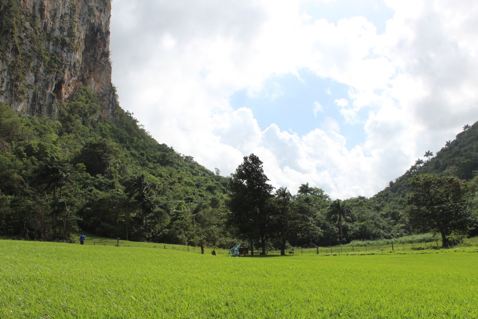 Canon EOS 1200D (EOS Rebel T5 / EOS Kiss X70 / EOS Hi) sample photo. Nature, green, landscape photography