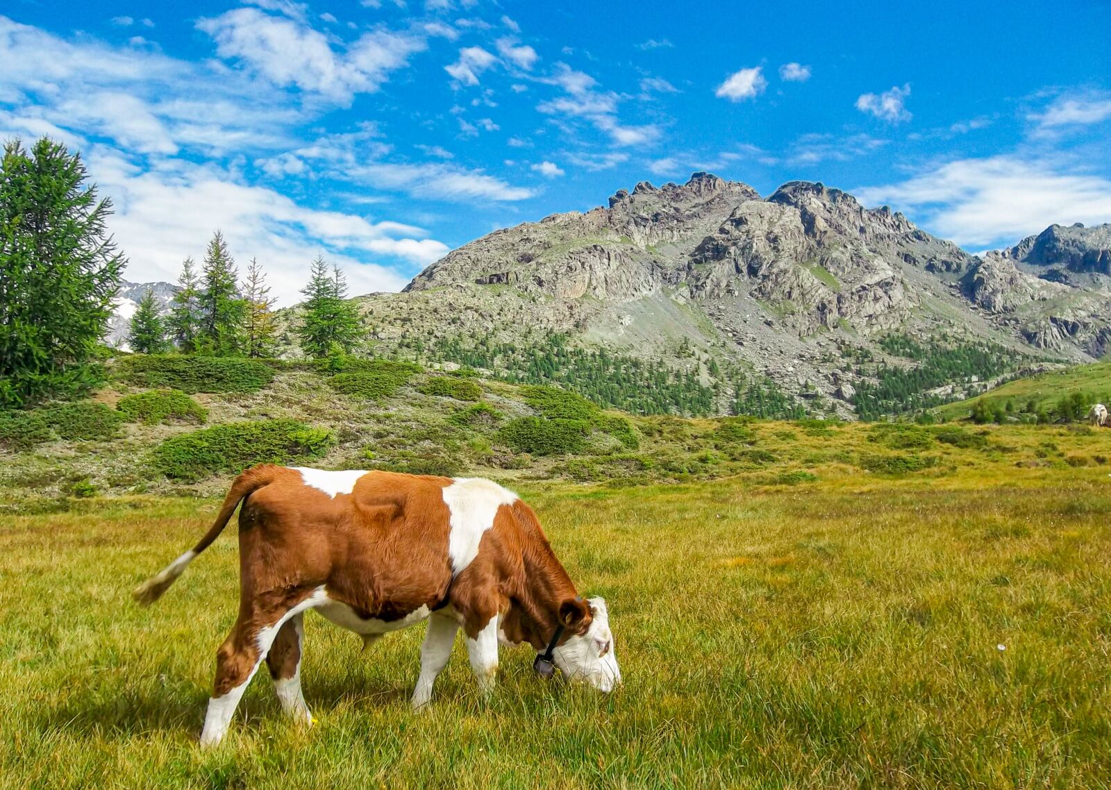 Kodak EASYSHARE CAMERA, M522 sample photo. Mountain, val malenco, landscapes photography