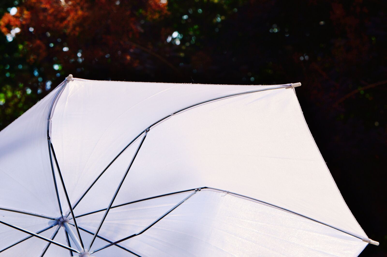 Nikon D3200 sample photo. Parasol, screen, sun photography