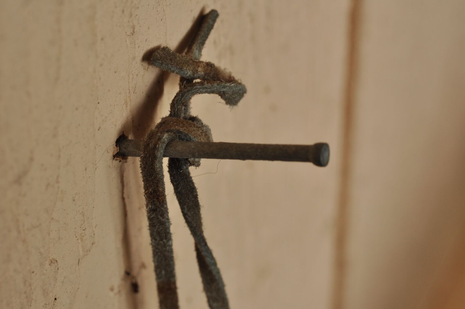 Nikon D90 sample photo. Nail, leather, wall photography