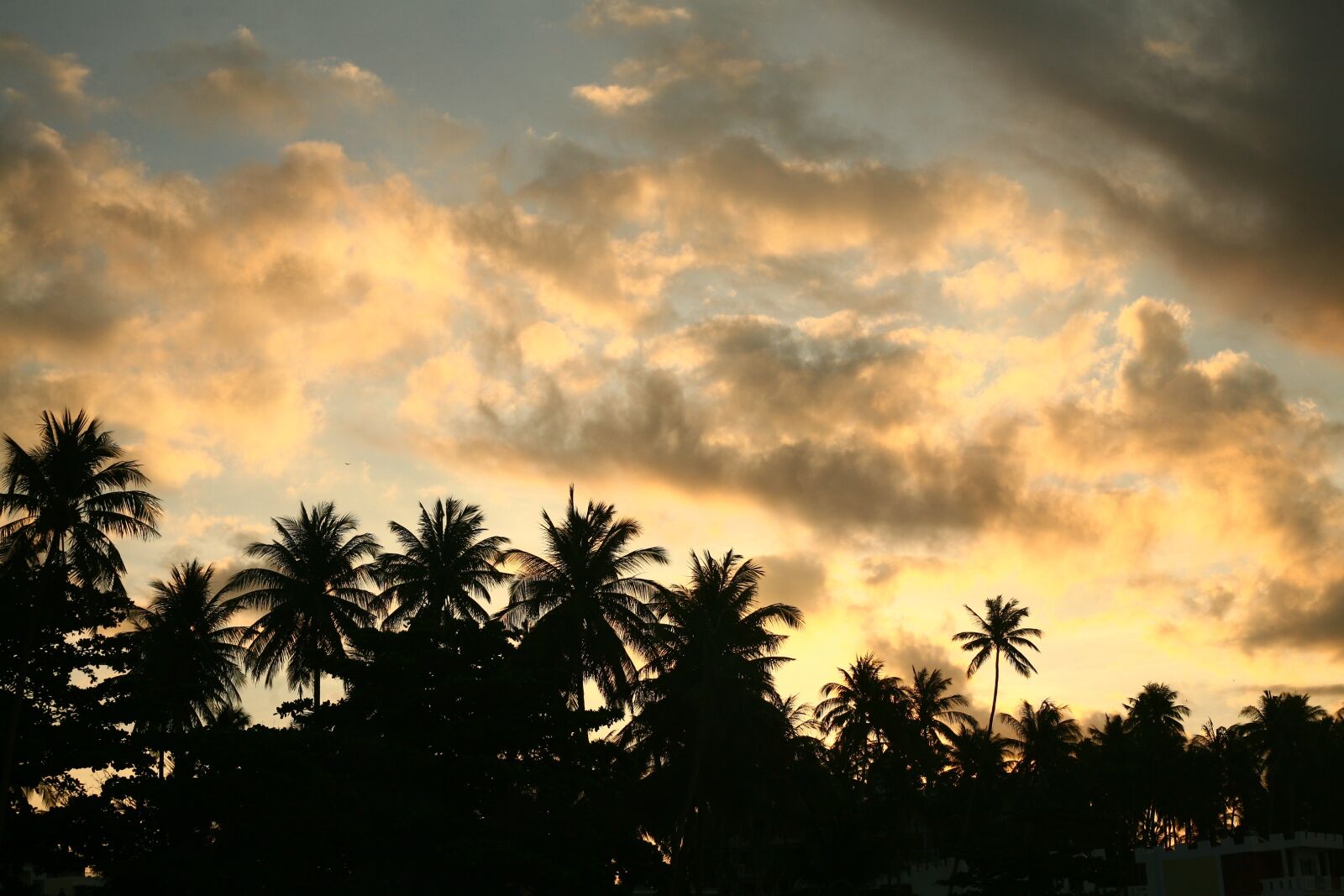 Canon EOS 5D sample photo. Sunset, seascape, tropics photography